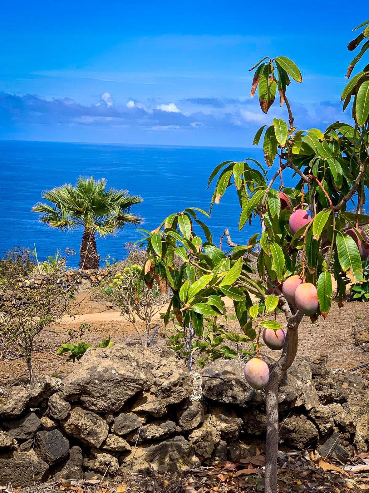 La Torre Villa Pozo de las Calcosas ภายนอก รูปภาพ